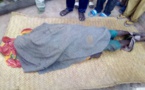 Tchad : un bouvier poignarde à mort un paysan pour une canne à sucre au Mandoul