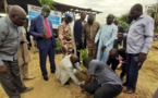 Tchad : le SYNECS s’engage pour la protection de l’environnement