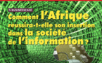 Business Case : Comment l’Afrique réussira-t-elle son insertion dans la société de l’information ?
