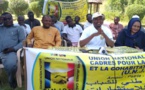 Tchad : l’UNJCP appelle à la paix et à une transition apaisée