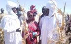 Tchad : la province du Kanem subit la mauvaise répartition de la pluviométrie