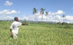 Togo : Lomé abrite un atelier régional sur le droit foncier communautaire en Afrique