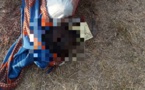 Tchad : un homme tué d'une balle dans le front pour une moto au Sila