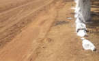 Tchad : plusieurs gendarmes blessés dans un accident de circulation sur l'axe Mongo-Mangalmé