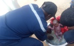 Tchad : un nouveau-né miraculé, jeté par sa mère dans les toilettes