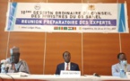 Tchad : des experts du G5 Sahel en réunion à Ndjamena