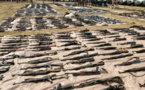 Tchad : un millier d'armes saisies en deux mois par la commission de désarmement
