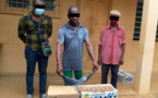 Togo : des trafiquants arrêtés et déférés pour trafic d’espèces protégées