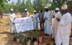 Tchad : Green Earth plante des arbres à l'hôpital de Bitkine