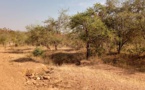 Tchad : deux otages âgés de 12 et 15 ans libérés au Mayo Kebbi Ouest