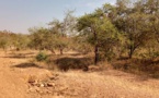 Tchad : 2 millions FCFA pour libérer deux otages au Mayo Kebbi Ouest