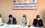 Tchad : la Croix-Rouge mène des réflexions stratégiques sur ses programmes premiers secours
