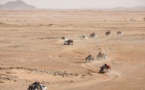 Sahel : le PNUD appelle à un plus grand engagement pour régénérer la région