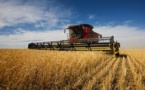 Réformer les politiques du secteur agroalimentaire en Afrique