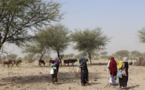 Tchad : Le manque de pluie aggrave la situation de la malnutrition