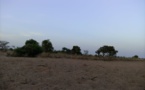 Tchad : le vol de chameaux et chevaux prend de l'ampleur au Sila
