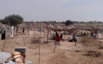 Tchad : des coupeurs de route ouvrent le feu sur deux civils au Sila