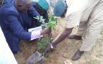 Tchad : La société MIAN environnement veut-elle s’attaquer à l’impossible ?
