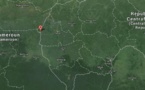RCA : Le HCRRN affirme avoir été attaqué à Beloko, une dizaine d'ex-Séléka abbatus