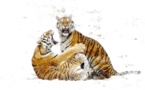 China's Northeast Tiger and Leopard National Park reports remarkable achievements in ecological conservation