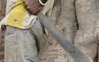 Tchad : Il lynche son employeur avec une machette