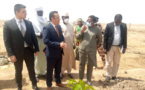 Tchad : l'agence Tika accompagne les femmes dans la production agricole