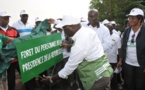 Initiative " campagne des plantations des institutions" au Congo: la présidence plante 1428 Eucalyptus