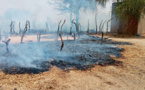 Tchad : un incendie ravage un village au Batha Est