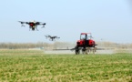 China turns saline-alkali land in Yellow River Delta into high-yield farmland