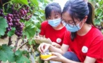 “Science and technology backyards” help drive talent development in China’s rural areas