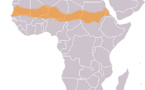 La mutualisation des efforts et des ressources des pays du Sahel pour juguler la menace terroriste‏