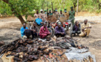 Tchad : des braconniers appréhendés dans la zone de Lac Iro