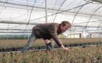 French agricultural engineer: Here is where I enjoy my ideal life