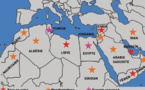 (Réaction) Centrafrique : Où sont les pays arabes ?