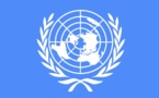 Le Tchad auditionné par l'ONU sur l'injustice, les droits de l'homme et l'affaire Ibni