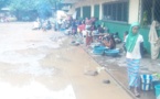 Centrafrique : Le reportage dans le Km5 dit "couloir de la mort"