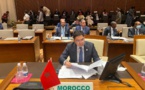 Union Africaine : « L'écosystème du terrorisme évolue entre séparatisme et criminalité » (Nasser Bourita)