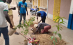 Tchad : des jeunes de plus en plus engagés pour la protection de l'environnement