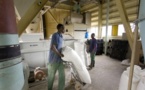 Guerre de la farine au Sénégal