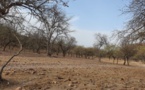 Tchad : deux coupeurs de route tués au Sila lors d'un braquage