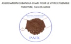 L’Association Oubangui-Chari réitère son soutien au Tchad et appelle à l'unité en RCA