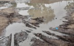 Tchad : Ndjamena après la pluie, les bidonvilles dans les eaux 