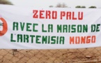 Tchad : au Guera, l’artemisia mise en avant contre le paludisme