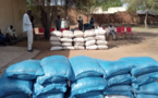 Tchad : la distribution d’aliments pour bétail lancée au Batha
