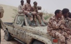 Tchad : l’UFDD avertit les autorités contre des manœuvres parallèles 