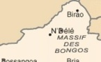 Centrafrique: Le général Bozizé a fourni des armes à la milice antibalaks