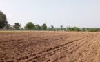 Tchad : un homme de 90 ans assassiné au Mayo Kebbi Ouest, 6 millions Fcfa emportés