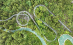 Forest Law builds legal protection for ecology