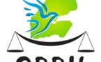 Djibouti : Un 1er mai sous haute surveillance …