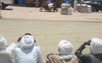 Tchad : grogne des éleveurs au Barh El Gazal pour la distribution des tourteaux